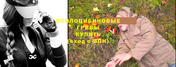 первитин Алексин