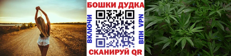 Шишки марихуана White Widow Новая Ладога